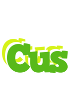 Cus picnic logo