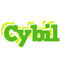 Cybil picnic logo