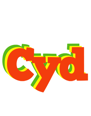 Cyd bbq logo