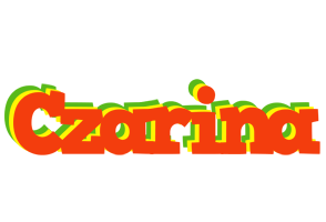 Czarina bbq logo