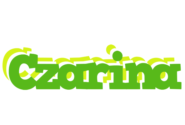 Czarina picnic logo