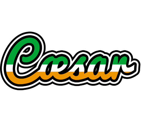 Cæsar ireland logo