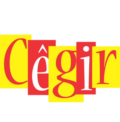 Cêgir errors logo