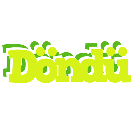 Döndü citrus logo