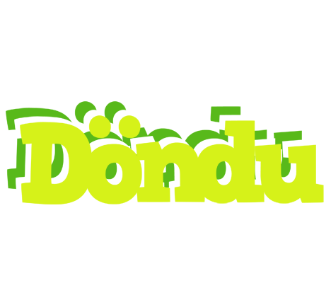 Döndu citrus logo
