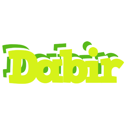 Dabir citrus logo