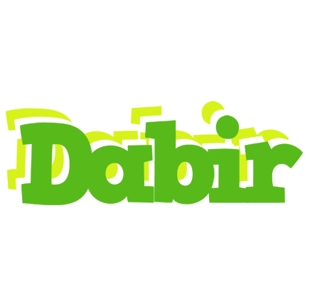 Dabir picnic logo