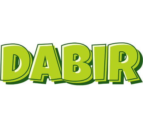 Dabir summer logo