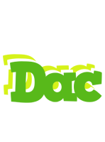 Dac picnic logo