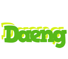 Daeng picnic logo