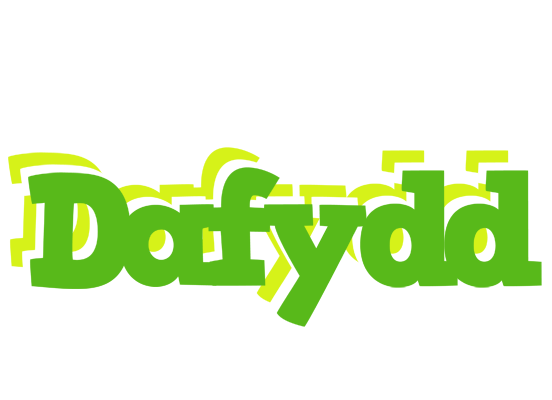 Dafydd picnic logo