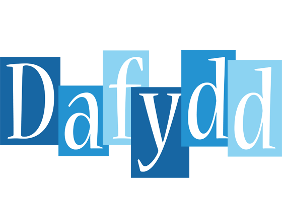 Dafydd winter logo