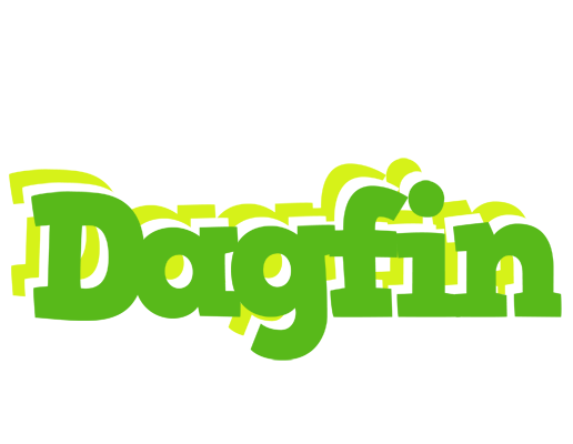 Dagfin picnic logo