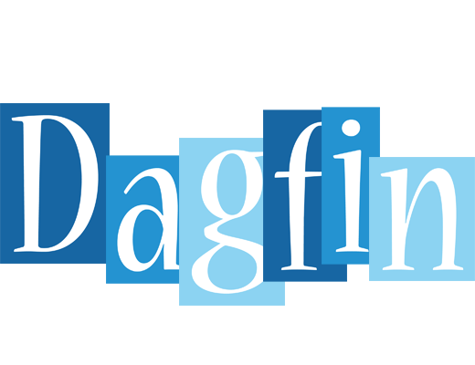 Dagfin winter logo
