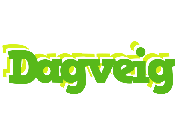 Dagveig picnic logo