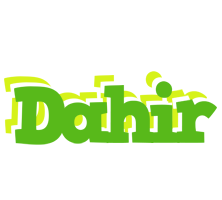 Dahir picnic logo