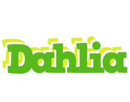 Dahlia picnic logo