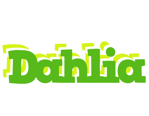 Dahlia picnic logo
