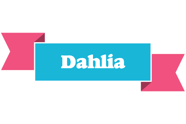 Dahlia today logo