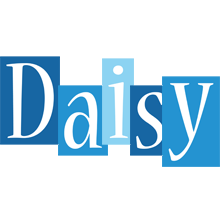 Daisy winter logo