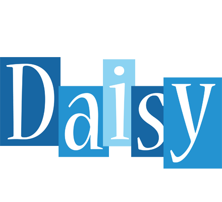 Daisy winter logo