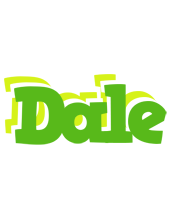 Dale picnic logo