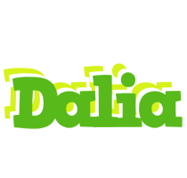 Dalia picnic logo