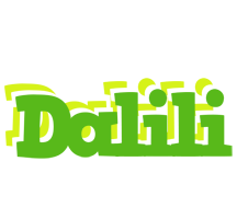 Dalili picnic logo