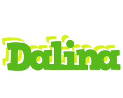 Dalina picnic logo