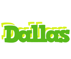 Dallas picnic logo