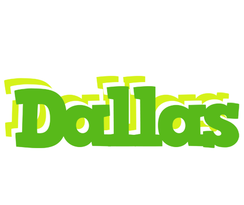 Dallas picnic logo