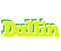 Dallin citrus logo