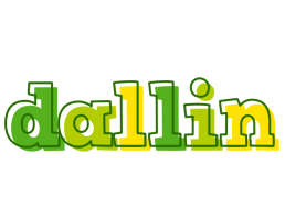 Dallin juice logo
