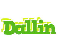 Dallin picnic logo