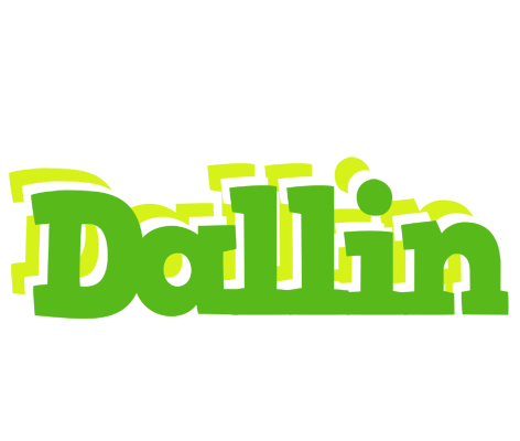 Dallin picnic logo