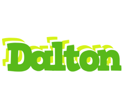 Dalton picnic logo