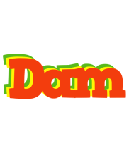 Dam bbq logo