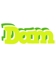 Dam citrus logo