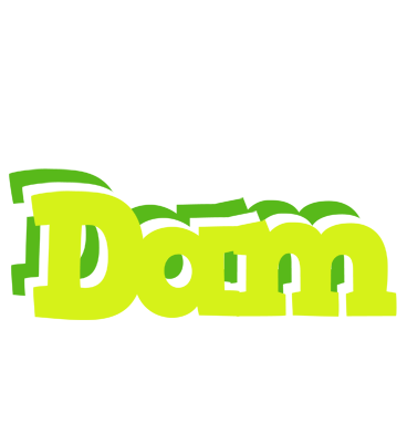 Dam citrus logo