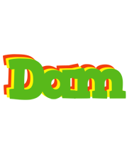 Dam crocodile logo