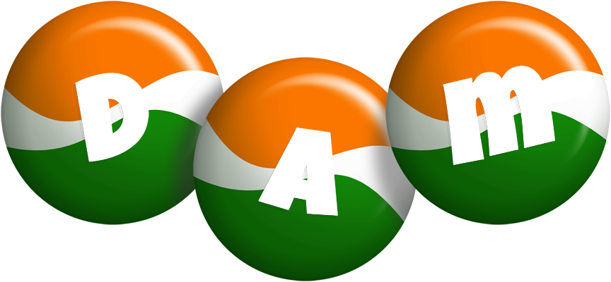Dam india logo