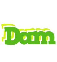 Dam picnic logo