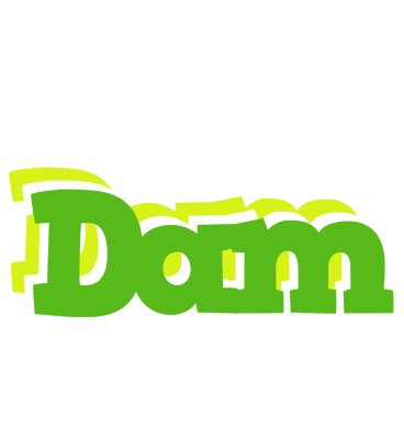 Dam picnic logo