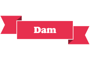 Dam sale logo