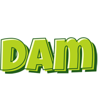Dam summer logo