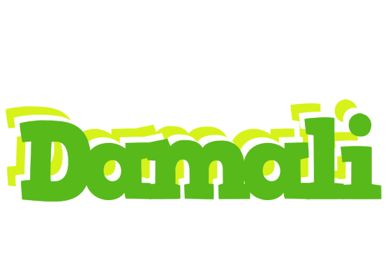 Damali picnic logo