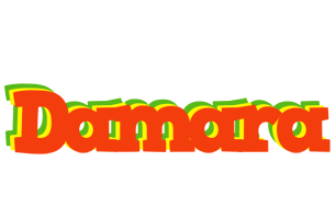 Damara bbq logo
