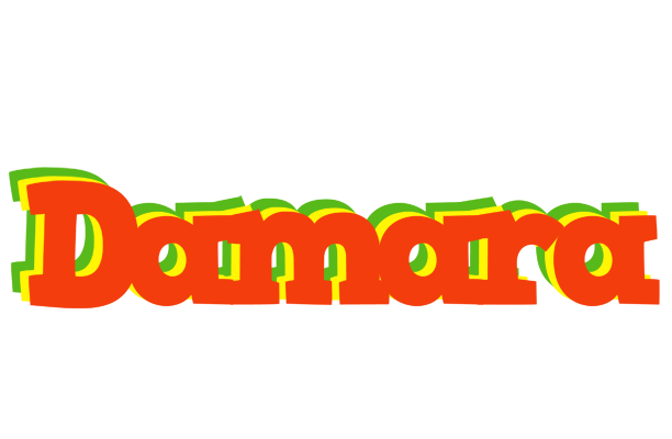 Damara bbq logo