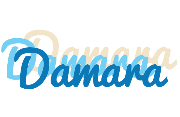 Damara breeze logo