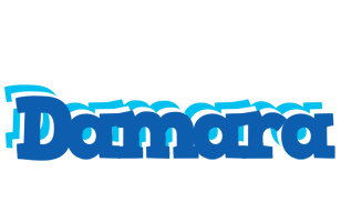 Damara business logo